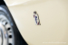 Alfa-Romeo-1750-Spider-25