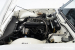 Triumph-TR5-PI-white-33